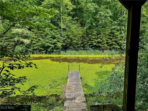 731 Fall Run Rd, Walker, WV 26180 photo 16