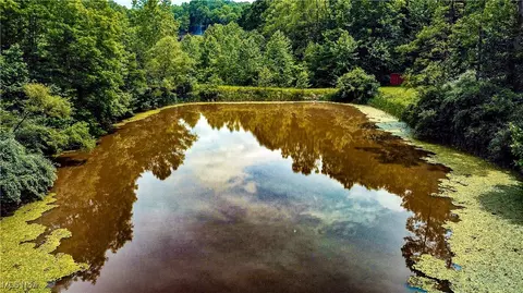 731 Fall Run Rd, Walker, WV 26180 photo 20