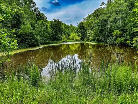 731 Fall Run Rd, Walker, WV 26180 photo 8