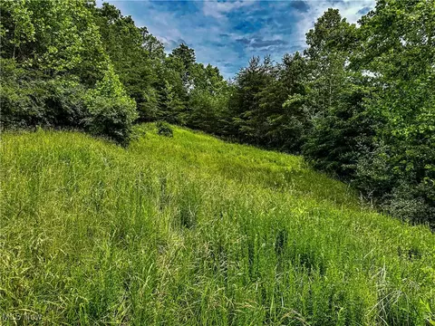 731 Fall Run Rd, Walker, WV 26180 photo 7