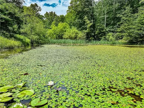 731 Fall Run Rd, Walker, WV 26180 photo 15