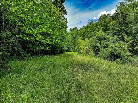 731 Fall Run Rd, Walker, WV 26180 photo 12