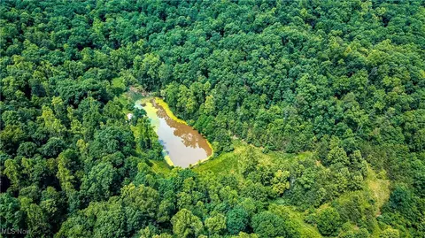 731 Fall Run Rd, Walker, WV 26180 photo 2