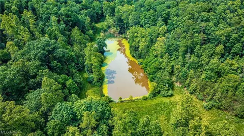 731 Fall Run Rd, Walker, WV 26180 photo 3
