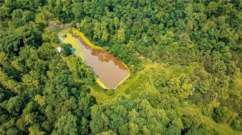 731 Fall Run Rd, Walker, WV 26180 photo 26