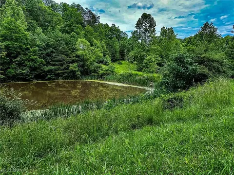731 Fall Run Rd, Walker, WV 26180 photo 10