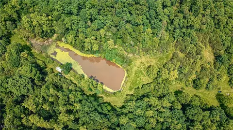 731 Fall Run Rd, Walker, WV 26180 photo 24