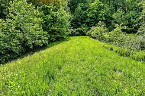 731 Fall Run Rd, Walker, WV 26180 photo 6