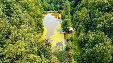 731 Fall Run Rd, Walker, WV 26180 photo 5