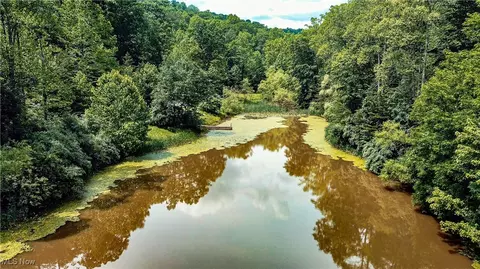731 Fall Run Rd, Walker, WV 26180 photo 21