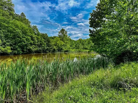 731 Fall Run Rd, Walker, WV 26180 photo 18