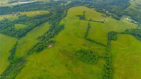 Piney Fork Road, Dillonvale, OH 43917 photo 4