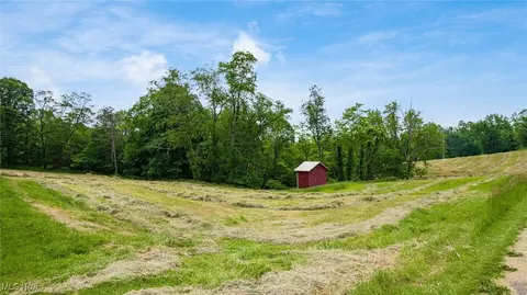 Exterior - 73117 Deck Rd, Freeport, OH 43973 photo 9 of 9