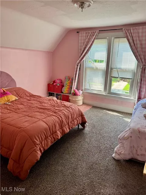1310 W 8th St, Ashtabula, OH 44004 photo 19