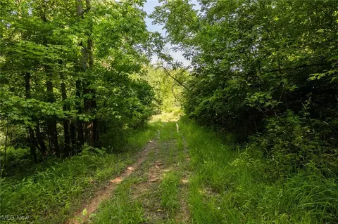 Azalea Road, Dennison, OH 44620 photo 17