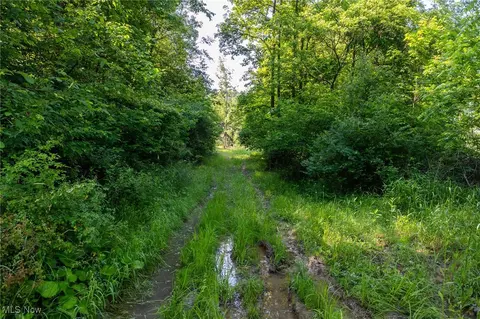 Azalea Road, Dennison, OH 44620 photo 16