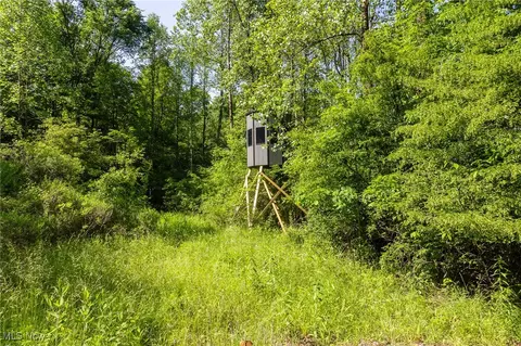 Azalea Road, Dennison, OH 44620 photo 6
