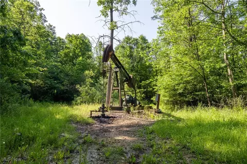 Azalea Road, Dennison, OH 44620 photo 22