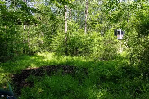 Azalea Road, Dennison, OH 44620 photo 7