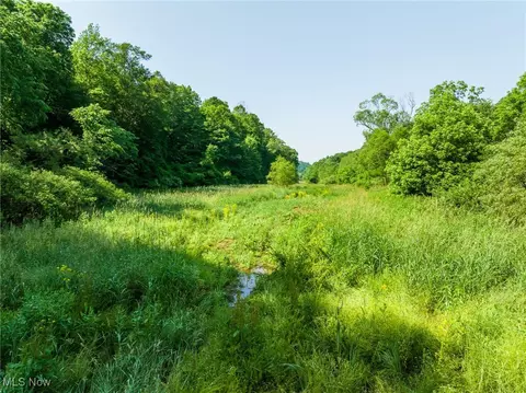 Azalea Road, Dennison, OH 44620 photo 13