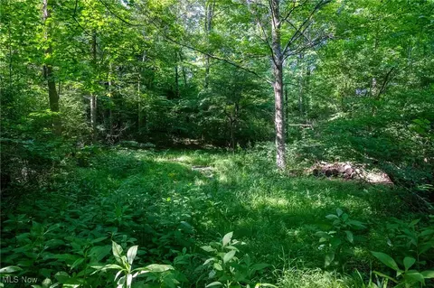 Azalea Road, Dennison, OH 44620 photo 25