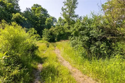 Azalea Road, Dennison, OH 44620 photo 18