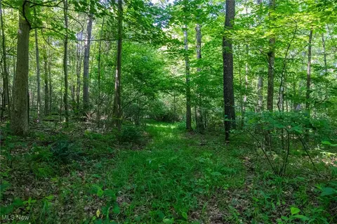 Azalea Road, Dennison, OH 44620 photo 23