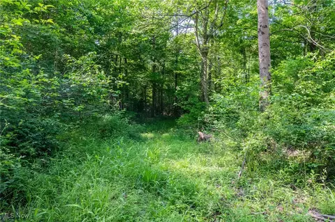 Azalea Road, Dennison, OH 44620 photo 27