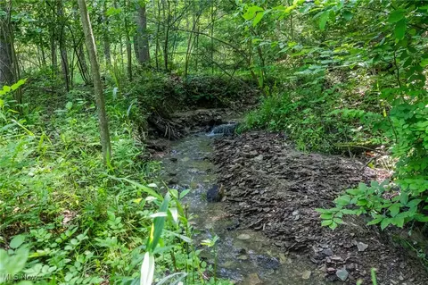 Azalea Road, Dennison, OH 44620 photo 38