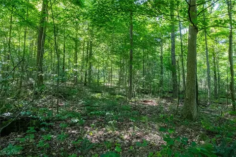 Azalea Road, Dennison, OH 44620 photo 24