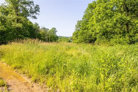 Azalea Road, Dennison, OH 44620 photo 19