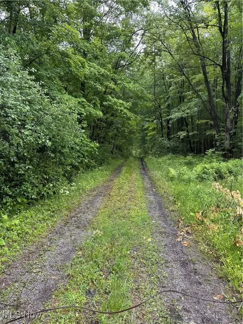 9161 Robinson Rd, Chardon, OH 44024