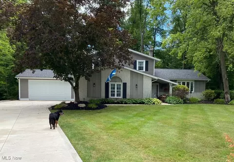 11275 Morningstar Ct, Newbury, OH 44065