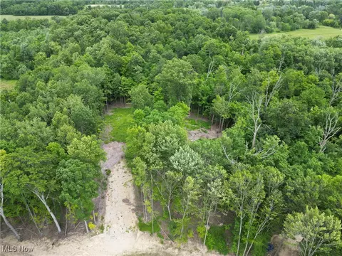 7720 Emerald Run Rd, Medina, OH 44256