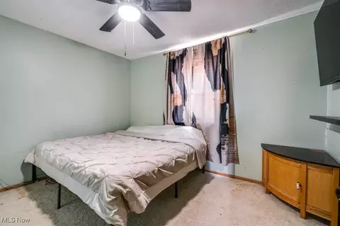 8998 Horn Rd, Windham, OH 44288 photo 22