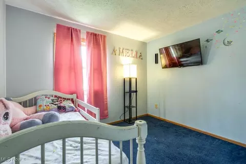 8998 Horn Rd, Windham, OH 44288 photo 20