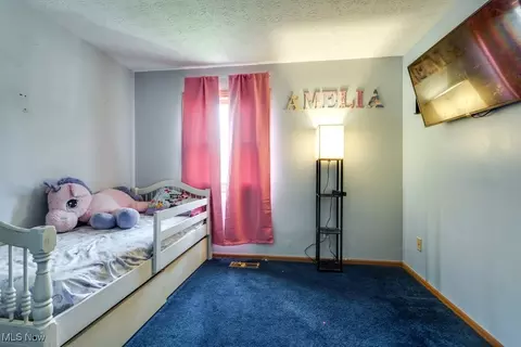 8998 Horn Rd, Windham, OH 44288 photo 19