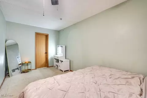 8998 Horn Rd, Windham, OH 44288 photo 24