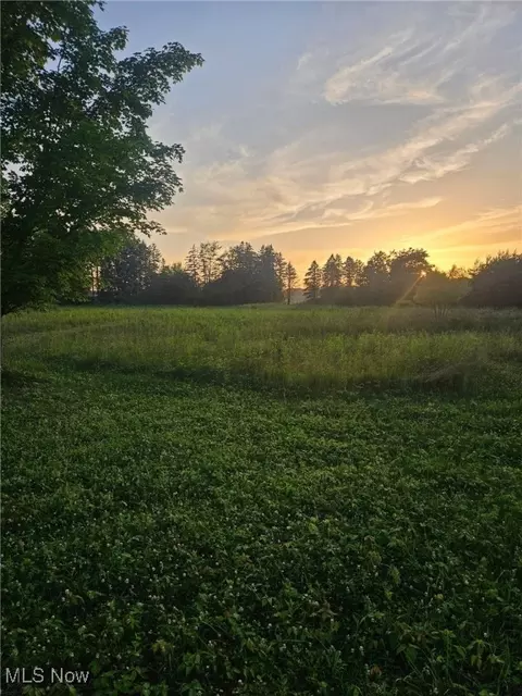 10436 Mechanicstown Rd, Hanoverton, OH 44423