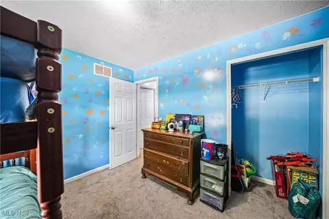 Other - 9009 Oak Ct, Windham, OH 44288 photo 5 of 9