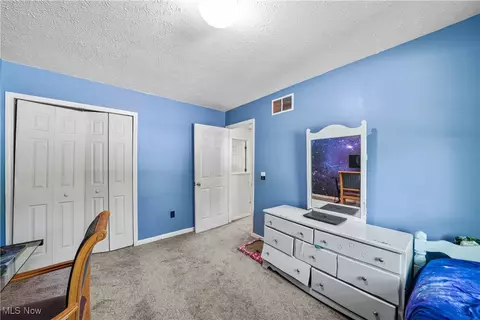 Other - 9009 Oak Ct, Windham, OH 44288 photo 6 of 9