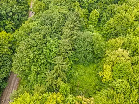 Sidley Road, Thompson, OH 44086 photo 15
