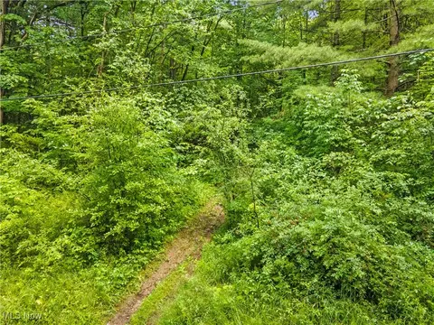 Sidley Road, Thompson, OH 44086 photo 12
