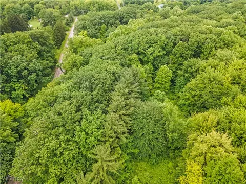 Sidley Road, Thompson, OH 44086 photo 14