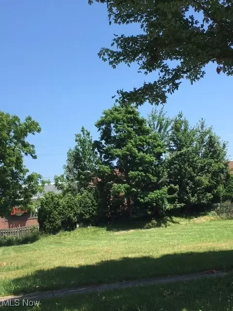 V/l V/l Case Avenue, Lyndhurst, OH 44124