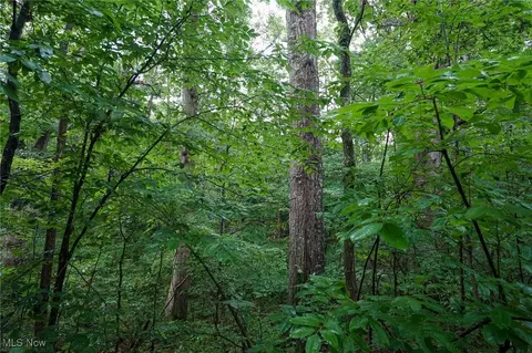 Meacham Rd, Jackson, OH 45692 photo 3
