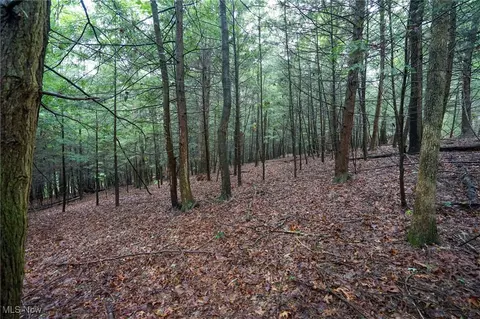Meacham Rd, Jackson, OH 45692 photo 21
