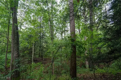 Meacham Rd, Jackson, OH 45692 photo 28