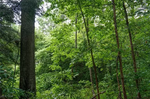 Meacham Rd, Jackson, OH 45692