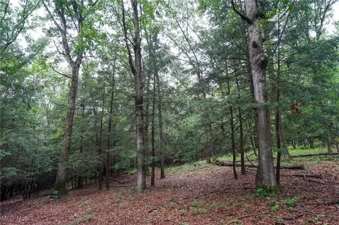 Meacham Rd, Jackson, OH 45692 photo 24